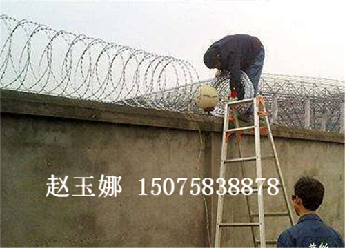 蛇腹形刀刺網(wǎng),看守所刀刺網(wǎng),監(jiān)獄刀刺網(wǎng)